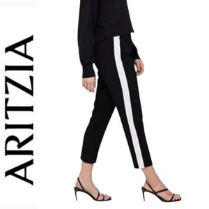 SZ12 Babaton Conan Tuxedo Black White Stripe Cropped Pants Aritzia